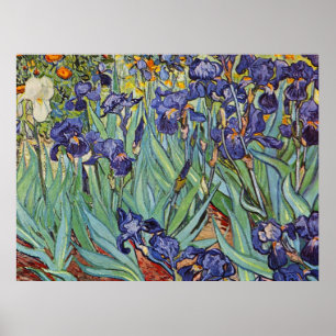 Poster Van Gogh Irises Peinture impressionniste
