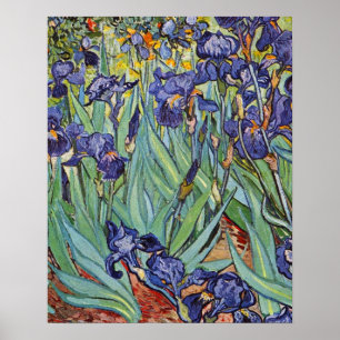 Poster Van Gogh Irises Peinture impressionniste