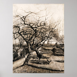 Poster Van Gogh - Le Jardin Du Parsonage Nuenen En Hiver
