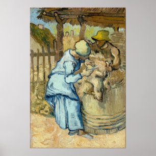 Poster Van Gogh - Le Mouton-Tonteur (D'après Millet)