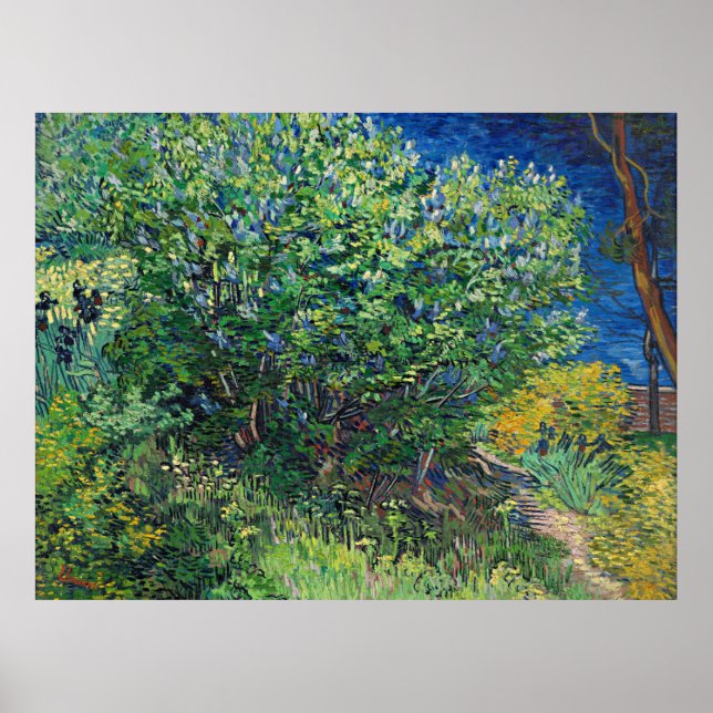 Poster Van Gogh - Lilac Bush (Devant)