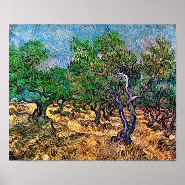 Poster Van Gogh - Olive Grove (Devant)