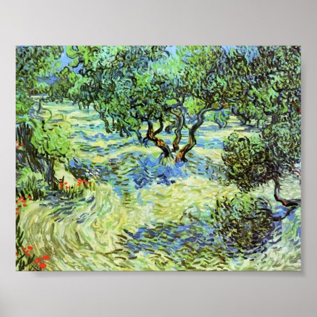Poster Van Gogh - Olive Grove - Ciel bleu clair (Devant)