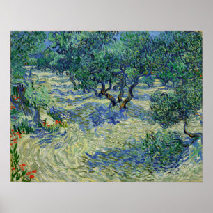Poster Van Gogh - Olive Orchard