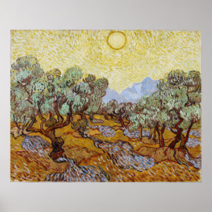 Poster Van Gogh - Olive Trees