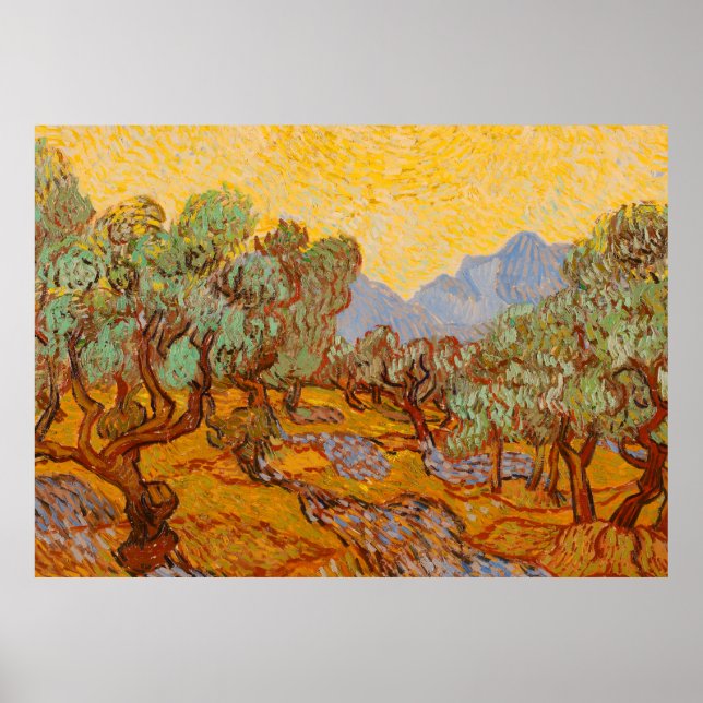 Poster Van Gogh Olive Trees Soleil Jaune Ciel (Devant)