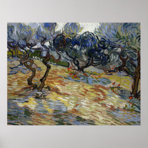 Poster Van Gogh - Oliviers