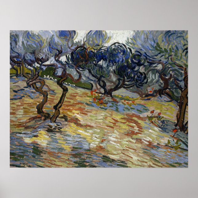 Poster Van Gogh - Oliviers (Devant)