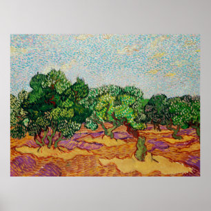 Poster Van Gogh - Oliviers,