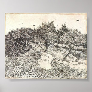 Poster Van Gogh - Oliviers