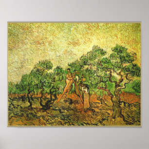 Poster Van Gogh - Oliviers, peinture d'art,