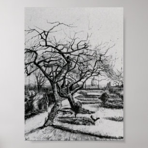 Poster Van Gogh - Parsonage Garden