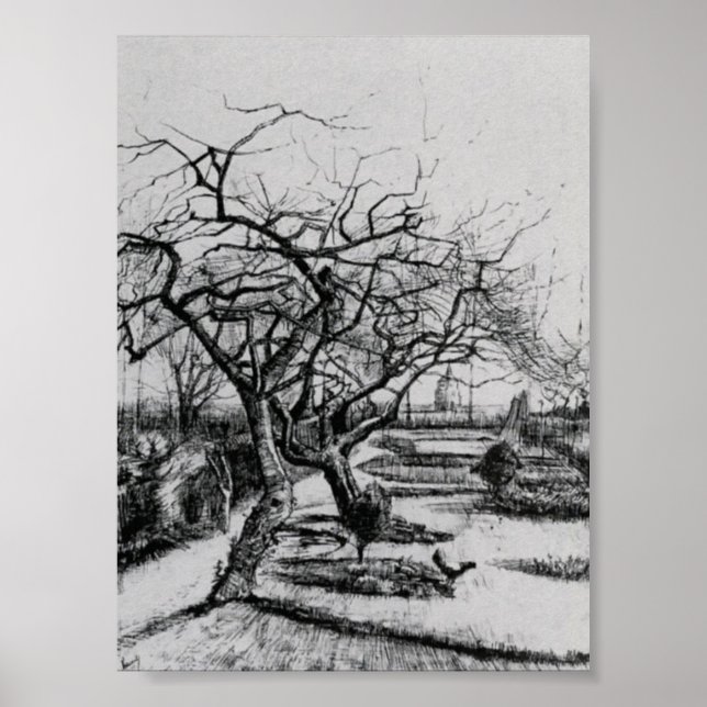 Poster Van Gogh - Parsonage Garden (Devant)
