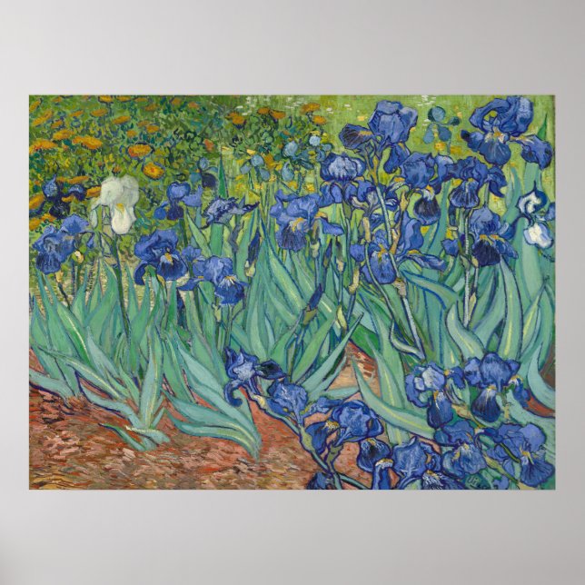Poster Van Gogh Peinture classique Irises Floral Botaniqu (Devant)