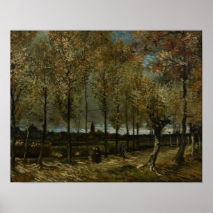 Poster Van Gogh - Poplars Près De Nuenen