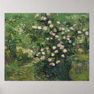 Poster Van Gogh - Rose