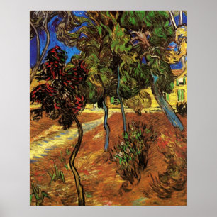 Poster Van Gogh Trees in the Garden, Hôpital Saint Paul