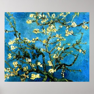 Poster VanGogh Almond Tree Blossoms