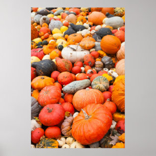 Poster Variété de courges à vendre, Allemagne