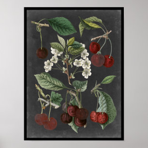 Poster Variétés de verger I