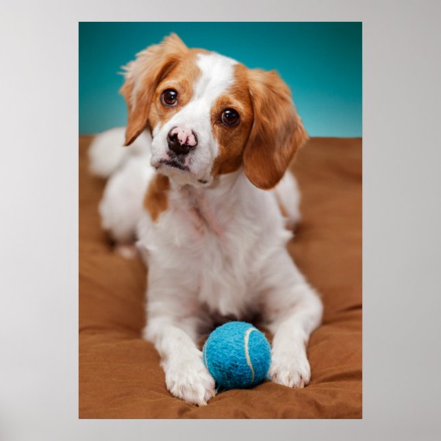 Poster Vas-tu jouer au ballon avec moi ? (Devant)