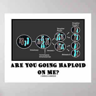 Poster Vas-Tu M'Happer ? (Humour de la méiose)