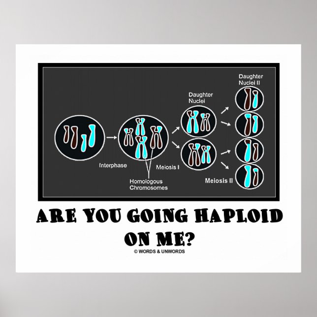 Poster Vas-Tu M'Happer ? (Humour de la méiose) (Devant)