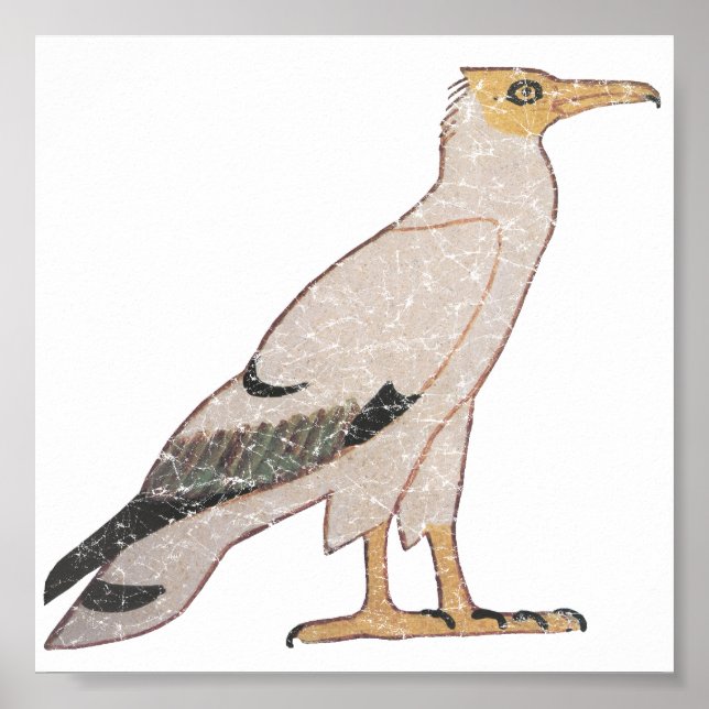 Poster Vautour (Devant)