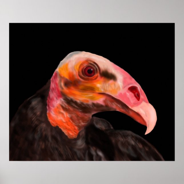 Poster Vautour de Savannah (Devant)