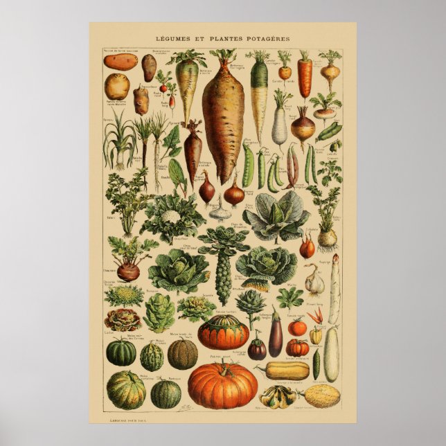 Poster végétal vintage en français Imprimer Botani (Devant)