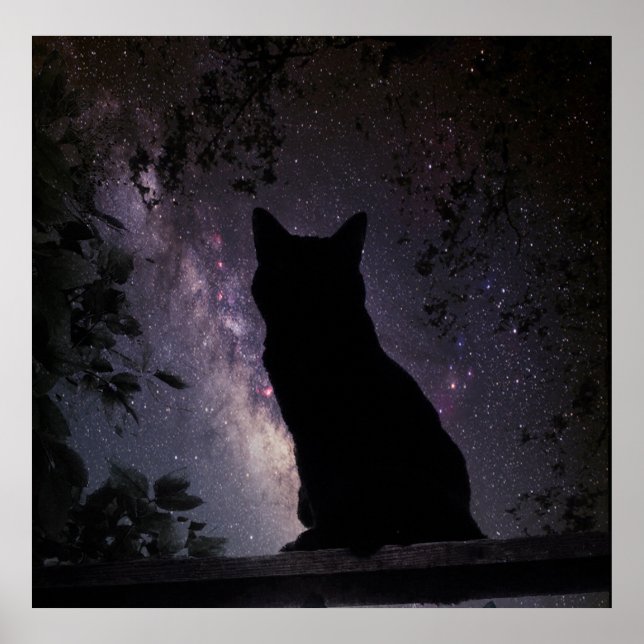 Poster Veille nocturne (Devant)