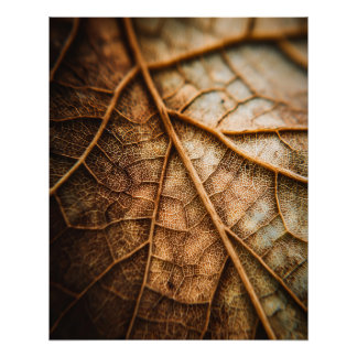 Poster Veins of Autumn