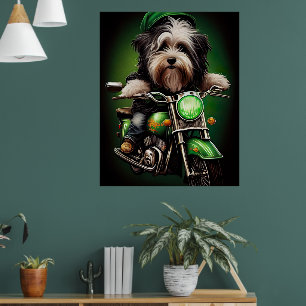 Poster Vélo de conduite de chien Havanais St. Patrick's D