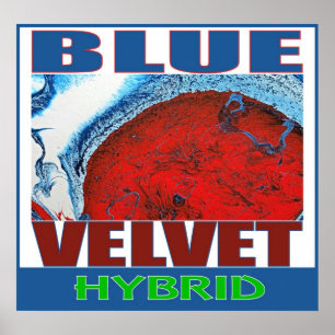 POSTER VELVET BLEU HYBRIDE