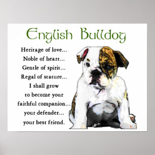 Poster Venin d'Angleterre