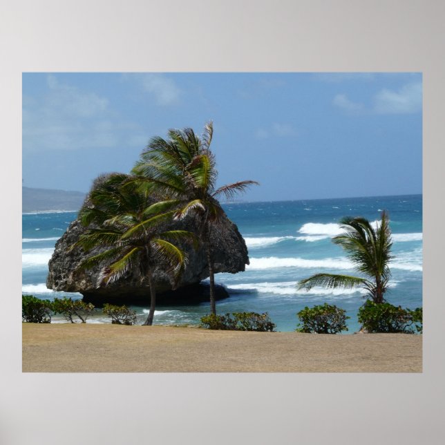 Poster Vent (Devant)