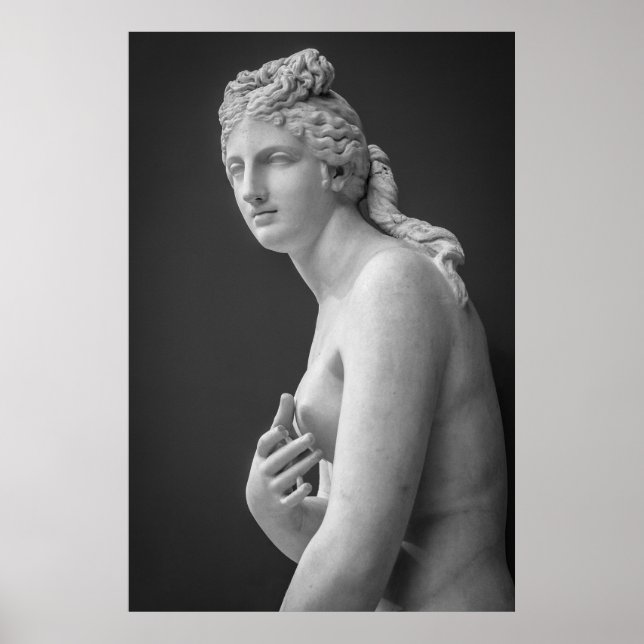 Poster Vénus (Devant)