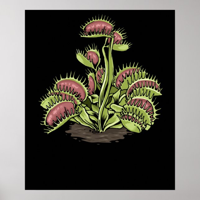 Poster Vénus Trap Plante Carnivore Plante Vénus Fly (Devant)