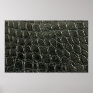 Poster Véritable alligator noir texture cuir, gros plan