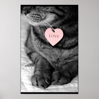 Poster Véritable Amour