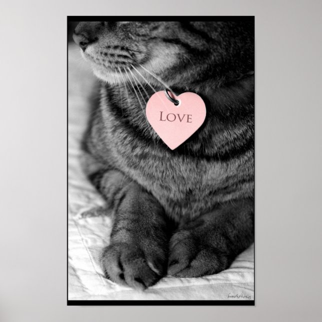 Poster Véritable Amour (Devant)