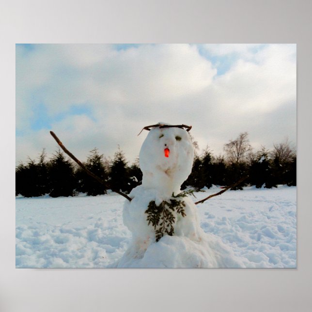 Poster Véritable photo de snowman (Devant)