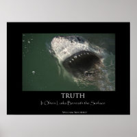 Poster "Vérité" du grand requin blanc