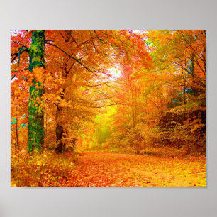 Poster Vermont Autumn Nature Landscape Fine Art