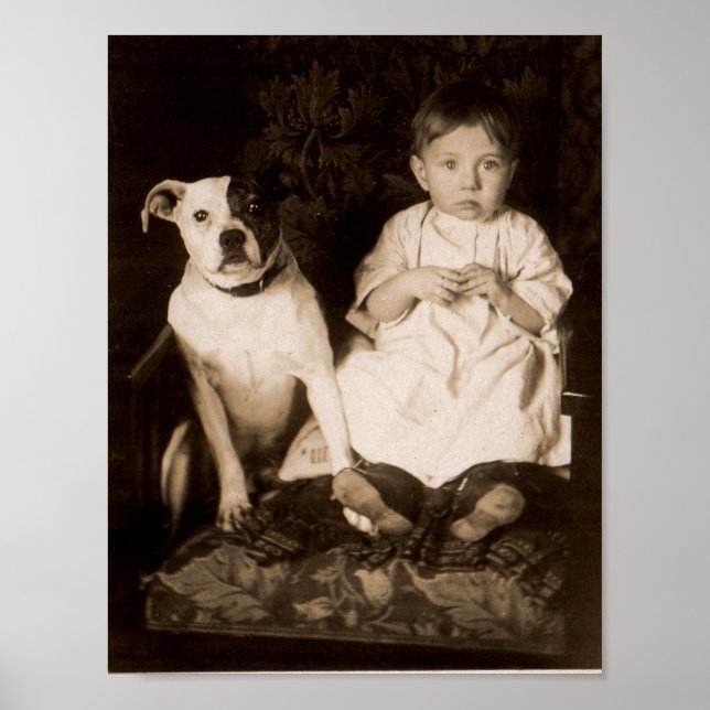 Poster vers 1910 pitbull et bébé RPPC (Devant)