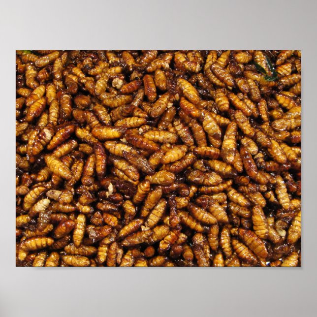 Poster Vers de soie frits ... Thai Street Food (Devant)