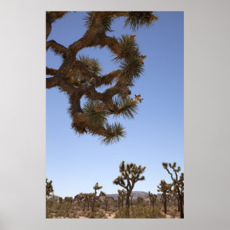 Poster Vers le bas à l'avant