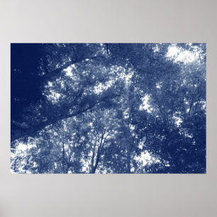 Poster Vers le haut dans les arbres - Effet Cyanotype