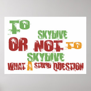 Poster Vers Skydive
