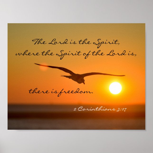Poster Verset de la Bible de la Liberté, Vol d'oiseaux au (Devant)